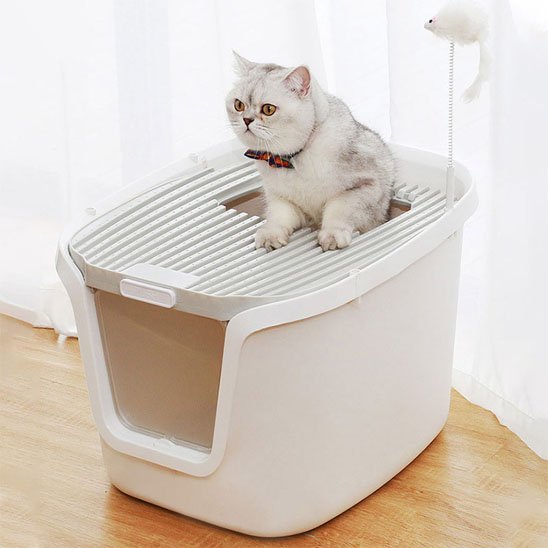Bac à litière Chat | Ergonomique Anti-odeurs - Mondechat