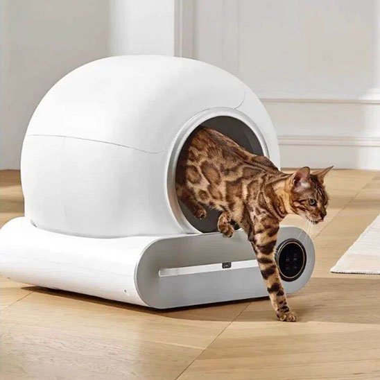 Bac à Litière Chat | Hygiène Plus - Mondechat