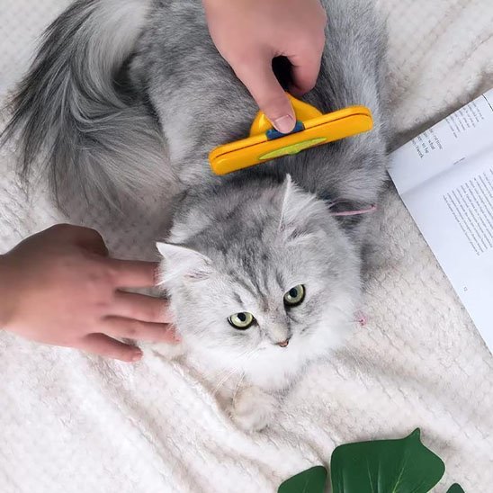 Brosse pour Chat | Anti-Mue Professionnelle - Mondechat