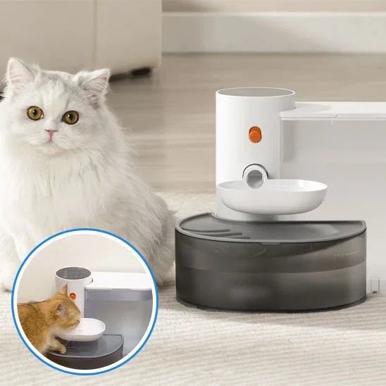 Fontaine à eau pour chat HydroVital : Hydratation optimale pour votre félin - Mondechat