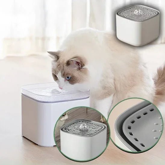 Fontaine à Eau pour Chat Silencieuse 3L | Hydratation Optimale - Mondechat