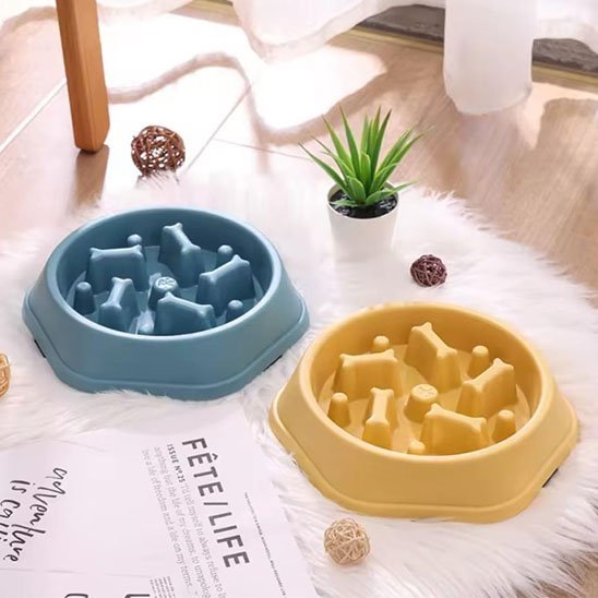 Gamelle anti glouton chat | ColorSlowCat - Mondechat