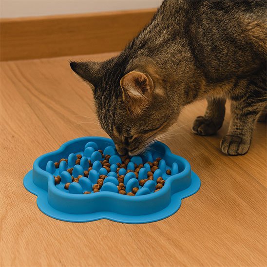Gamelle anti glouton chat | FloralFeast - Mondechat