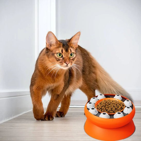 Gamelle chat Ergonomique FélinConfort - Mondechat