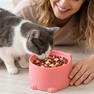 Gamelle Chat