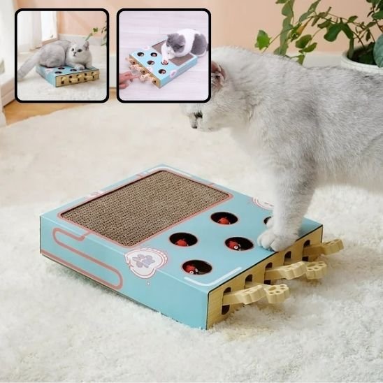 Griffoir Chat | Jeu Interactif & Grattage 2 en 1 - Mondechat
