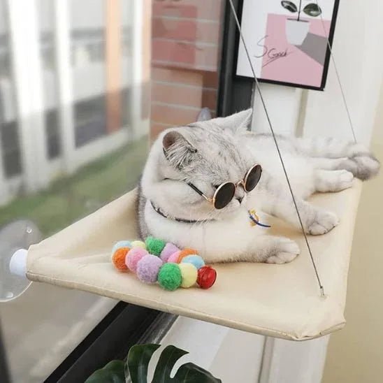 Hamac pour chat fenêtres | Confort Premium et bien - être optimal - Mondechat