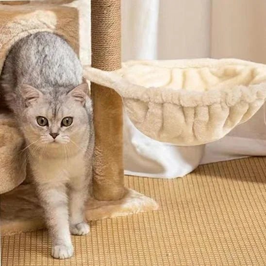 Hamac pour chat SunWatcher : le meilleur hamac pour chat au soleil pour des moments de détente incroyables - Mondechat