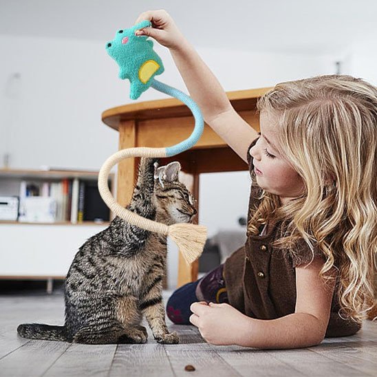 Jouet pour chat | Interactif Félin - Mondechat