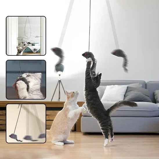 Jouet pour chat | InterCat - Mondechat