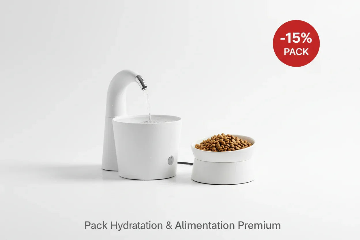 Pack Hydratation & Alimentation Premium Chat - Fontaine + Gamelle Surélevée - Mondechat