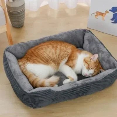 Panier chat confort : le douillet allié de vos félins - Mondechat