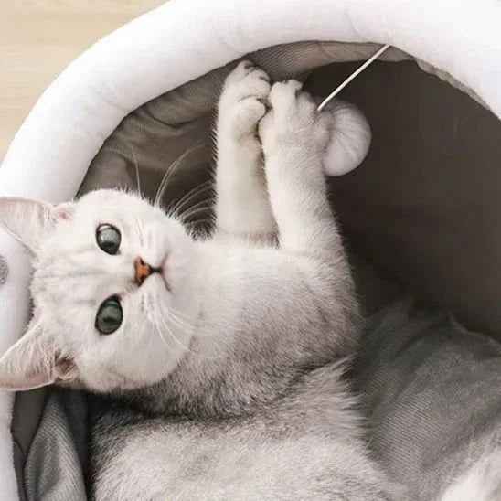 Panier pour chat doux ultra confortable : le choix parfait pour votre félin. - Mondechat