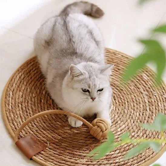 Tapis Griffoir Chat Ultra - Résistant | Protection Meubles Efficace - Mondechat