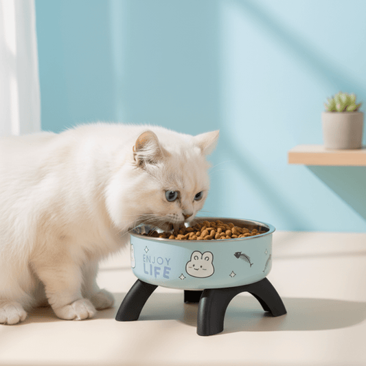 Comment choisir une gamelle ergonomique pour son chat ? Guide complet 2026 - Mondechat