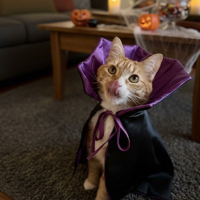 Déguisement Chat | Cape Vampire Halloween 3 Coloris - Mondechat