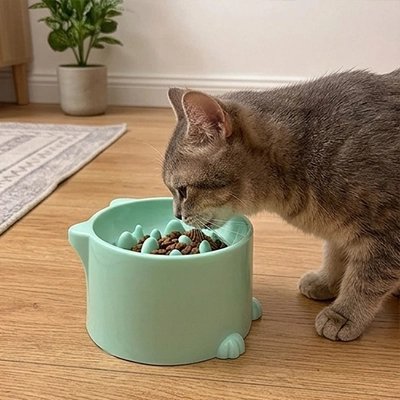 Gamelles et bols pour chat : accessoires d'alimentation pour votre félin - Mondechat
