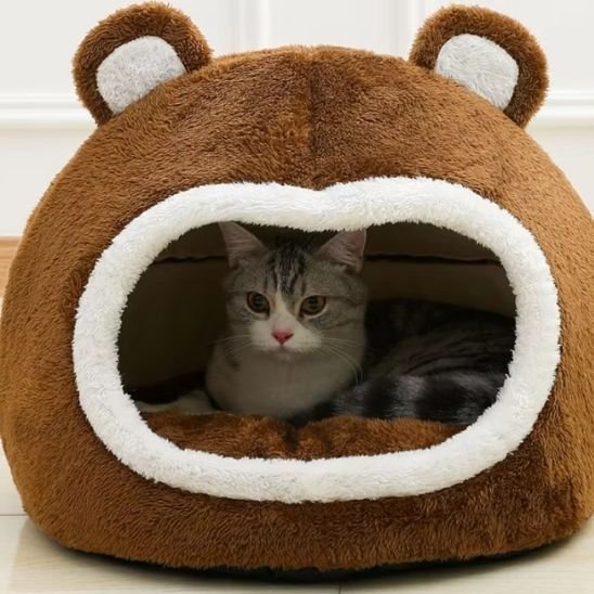Espace Repos - Mondechat