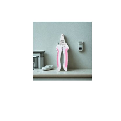 Coupe griffe chat | Toilettage Pro