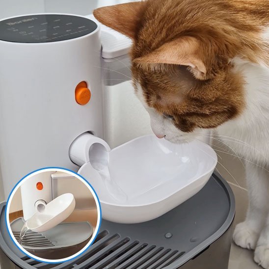 Fontaine a eau chat | HydroVital et un chat boit