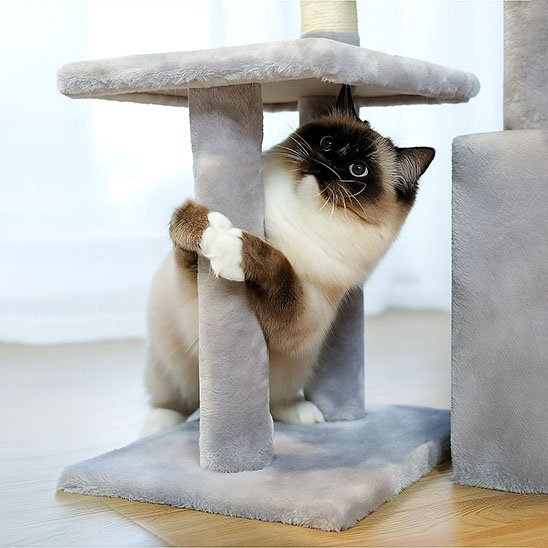 Arbre à Chat Compact | Griffoir Sisal, Niche & Hamac - Mondechat