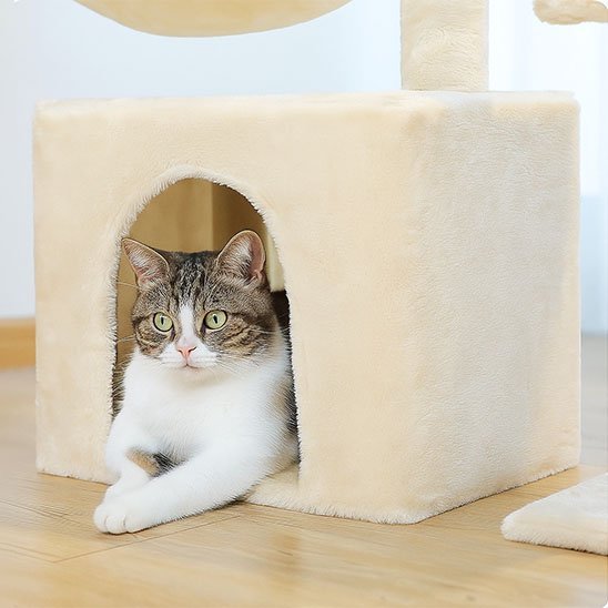 Arbre à Chat Compact | Griffoir Sisal, Niche & Hamac - Mondechat
