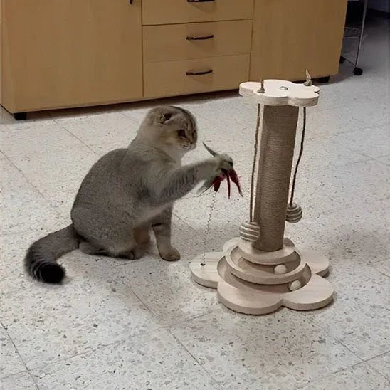 Arbre à Chat en Bois Naturel | Design Écologique et Robuste - Mondechat
