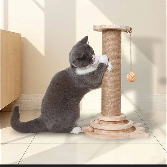 Arbre à Chat en Bois Naturel | Design Écologique et Robuste - Mondechat