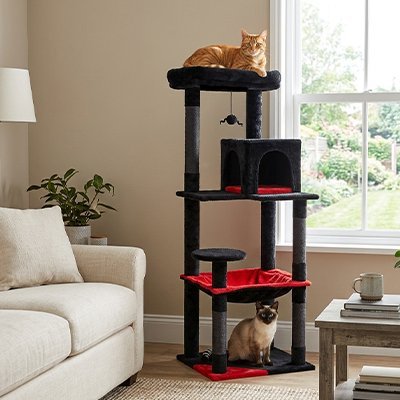 Arbre à Chat | Multi-niveaux Épanouissant - Mondechat