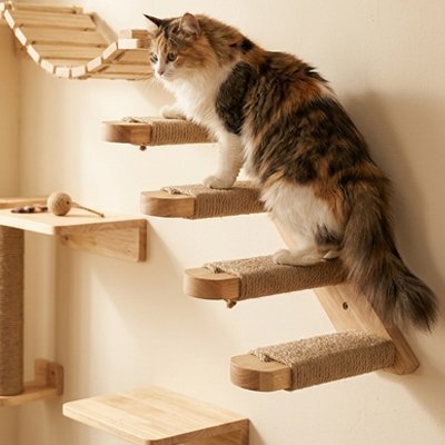 Arbre à Chat Mural | Parcours Bois Naturel - Mondechat