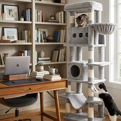 Arbre à Chat | Royaume Vertical CozyTower - Mondechat