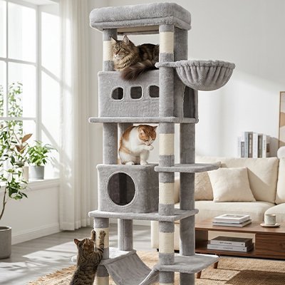 Arbre à Chat | Royaume Vertical CozyTower - Mondechat