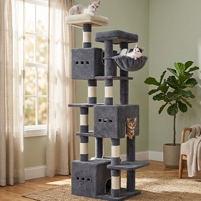 Arbre à Chat | Royaume Vertical LoftTower - Mondechat