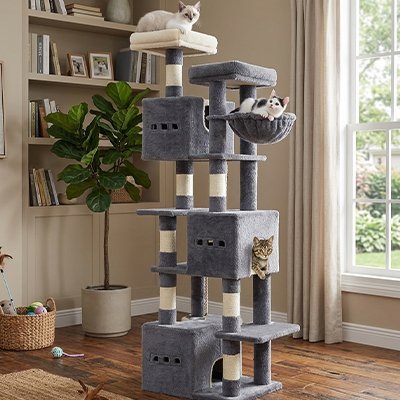 Arbre à Chat | Royaume Vertical LoftTower - Mondechat