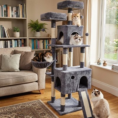 Arbre à Chats | Design Robuste Gris - Mondechat