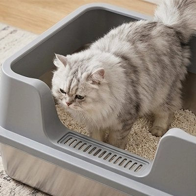 Bac à litière Chat