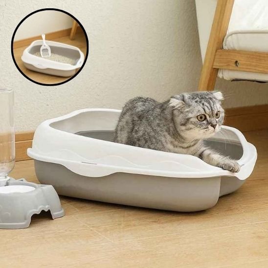 Bac à litière chat