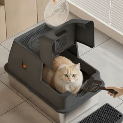 Bac à litière Chat