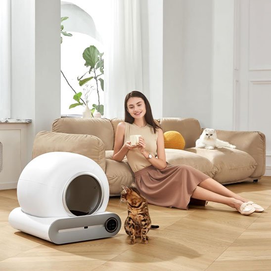 bac à litière chat 