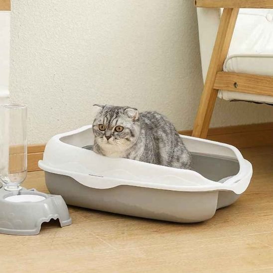 Bac à litière chat