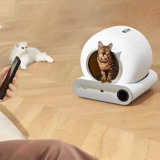 bac à litière chat 