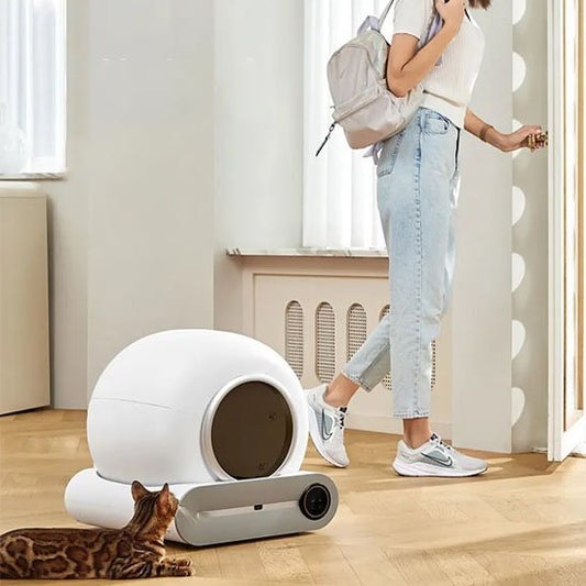 Bac à Litière Chat | Hygiène Plus - Mondechat