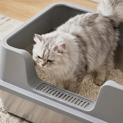 Bac à litière Chat | Hygiénique - Mondechat