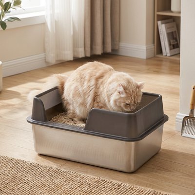Bac à litière Chat | Hygiénique et Pratique - Mondechat