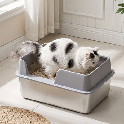 Bac à litière Chat | Hygiénique et Pratique - Mondechat