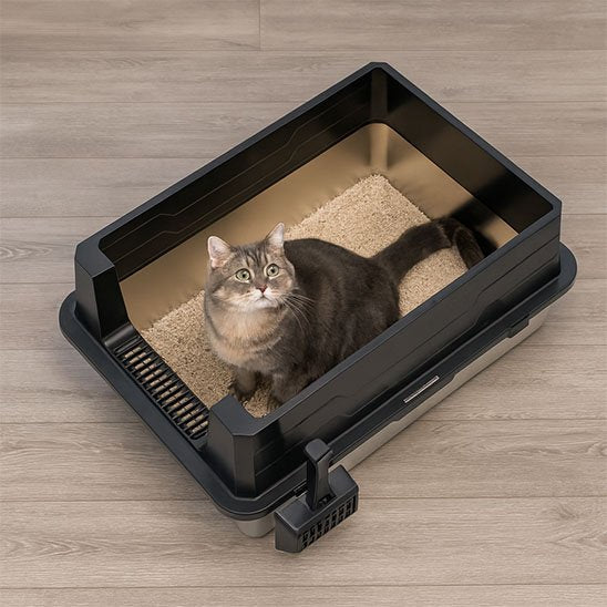 Bac à litière Chat | Premium Anti - Odeurs - Mondechat