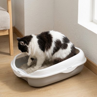 Bac à Litière Chat | Semi-Fermé Hygiénique Anti-Odeurs — Mondechat - Mondechat