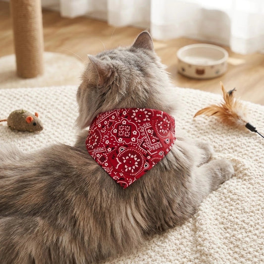 Bandana pour chat