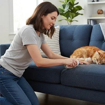 Brosse anti poil | PetClean - Mondechat