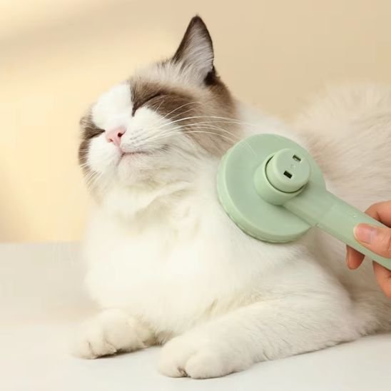 Brosse chat 